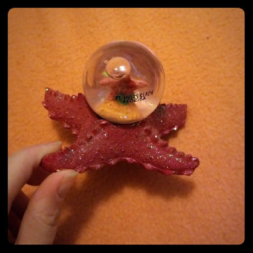 A starfish styled Ft. Myers Beach Florida